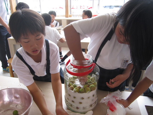 梅ジュースづくり