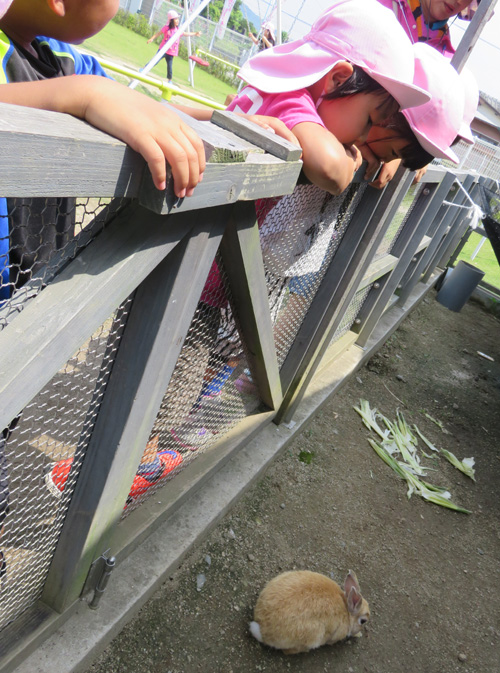 山鹿保育園訪問