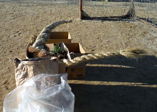 どんどや どんどや