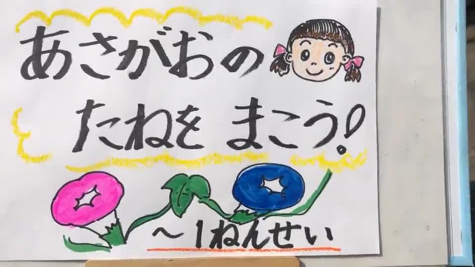 1ねんせい　「あさがおのたねをまこう」