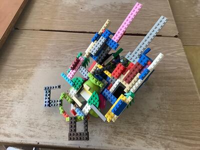 カブトムシだそうです。