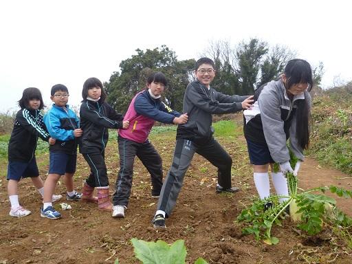 うんとこしょ！どっこいしょ！
