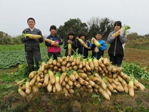 大きな湯島大根がたくさんとれました。